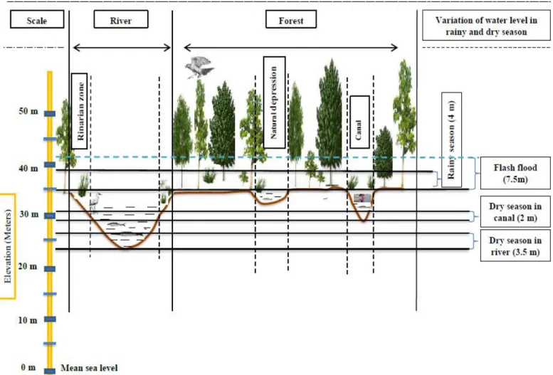 Figure 5: Landscape and water level situation  