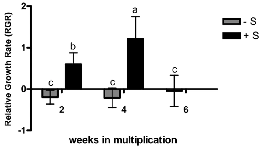 Fig. 13 Relative Growth Rate (RGR) of in vitro shoots in deficient (–S) and replete (+S) multiplication  conditions grown for 2, 4 and 6 weeks