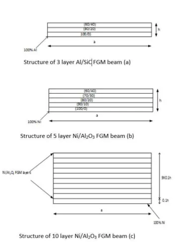 Figure 2: Geometry and Volume fraction variation through thickness for the FGM beams. 