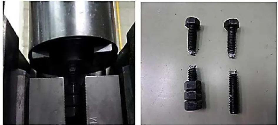 Figure 2: Test set-up and tested bolt specimen. 