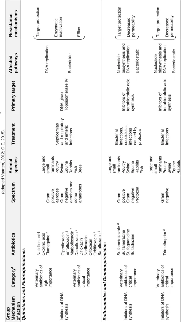 Table 1.1. Main antibiotics of veterinary importance in Gram negative bacteria (adapted Vaarten, 2012; OIE, 2015)