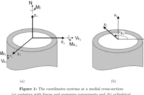 Figure 1: The coordinates systems at a medial cross-section: 