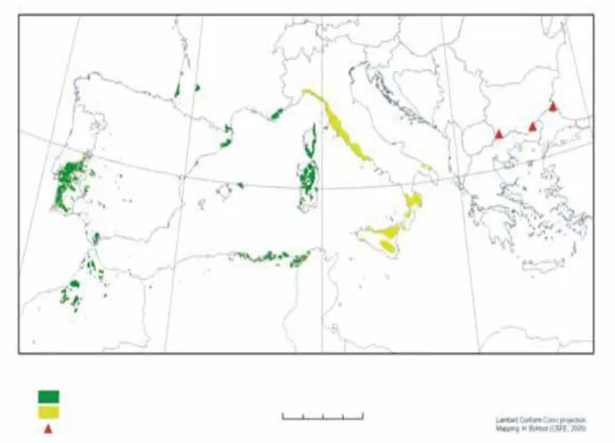 Figure 2.  Approximate cork oak distribution. H Bohbot, J Aronson &amp; C.Fontaine CEFE/CNRS,  Montpellier, 2005