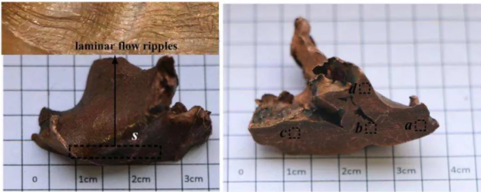 Figure 2: Longitudinally sliced half sections of soft-recovery EFP. (s) EFP surface,   (a) EFP head, (b) EFP center, (c) EFP rear and (d) EFP fin