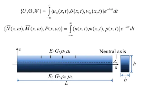 Figure 1: A multiple cracked FGM beam. 