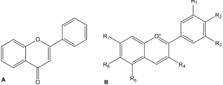 Fig. 9. Structure of flavone (A) and of anthocyanidins (B, where R 1  toR 7  can be H, OH or  OCH 3  according to the exact type of anthocyanidin) 