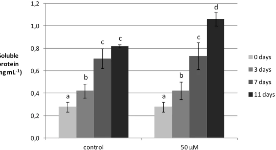 Fig. 2. Protein content of Lupinus luteus leaves grown in nutrient solution with 0.1 µM of Cu  (control) and excess copper (50 µM) for up to 11 days