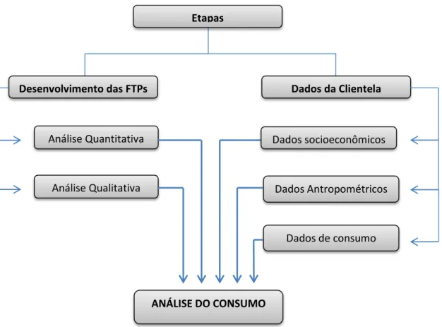 Figura 2 – Etapas da coleta de dados e procedimentos do estudo.  