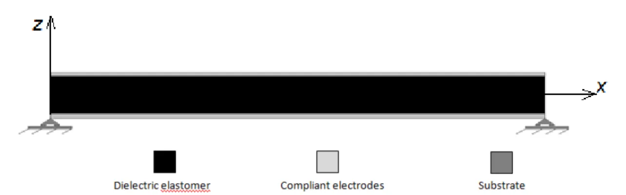 Figure 1: Schematic of micro-beam. 