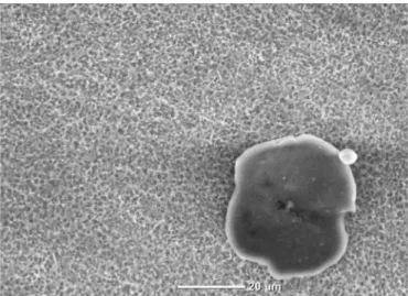 Figure 8: SEM image for pitting on the specimen surface: pH = 1.4 and 16 minutes of pre-corrosion