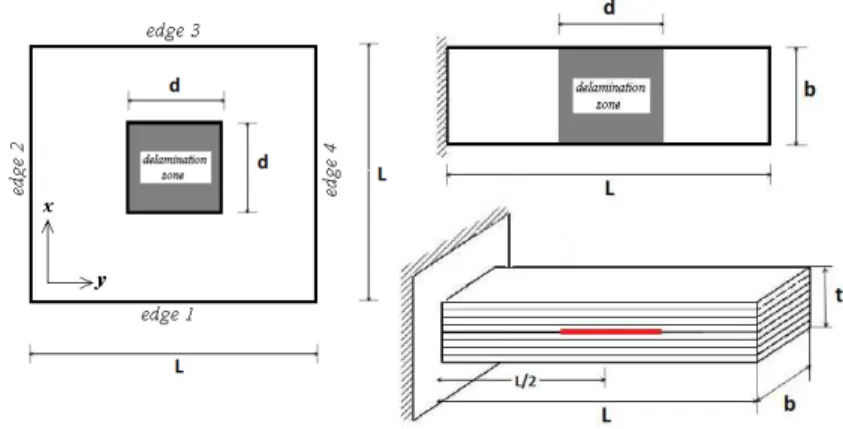 Figure 4: The geometry and delamination position of the cantilever plate (left) and square plate (right)