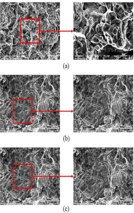 Figure 5: SEM micrographs of the tensile fracture surface (a) AST5 (b) AST10 (c) AST15