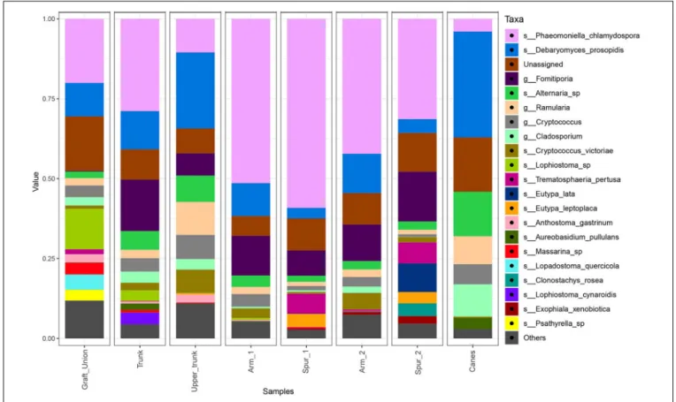 FIGURE 4 | Barplots of the relative abundance of the 20 most abundant taxa identified to species (s_) or genus (g_) level, found in different sampling areas of the stem and in the canes of grapevine