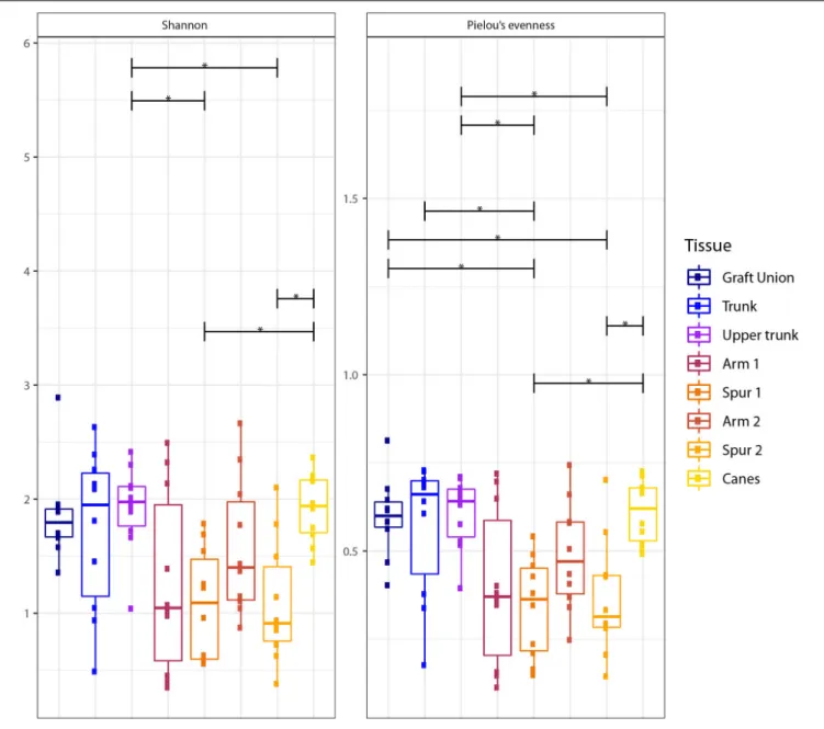 FIGURE 2 | Box plots of diversity indexes (Shannon, Pielou’s evenness) of the fungal communities present in different sampling areas of perennial wood (Graft Union, Trunk, Upper trunk, Arm 1, Spur 1, Arm 2, and Spur 2) and canes