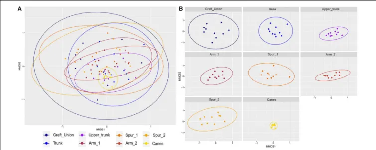 FIGURE 3 | Non-metric multidimensional scaling (NMDS) plots based on Jaccard’s index. Fungal communities present in different tissue types in grapevine.