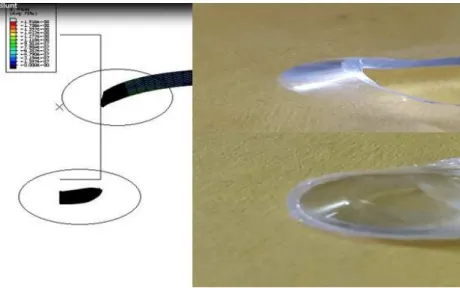 Figure 9: Comparison of back face signature of perforated plate obtained   from experiment/simulation for blunt projectile.