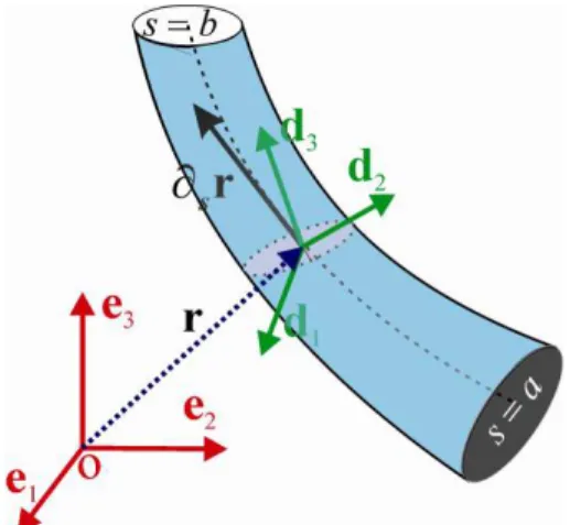 Figure 1:Schematic of a Cosserat beam element. 