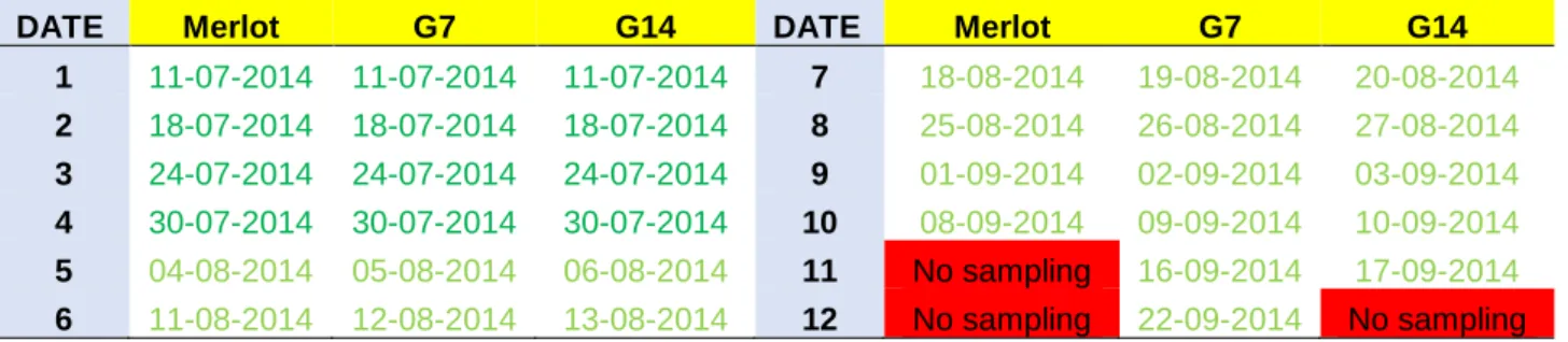 Table 1. Sampling dates for Merlot, G7 and G14. Sampling for G14 Merlot were not performed on  Date 11 and Date 11,12 respectively and that was due to very overripe berries at this point