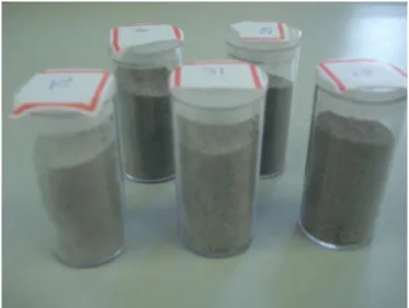 Table I shows the quantities of bone meal and silica to each sample. 