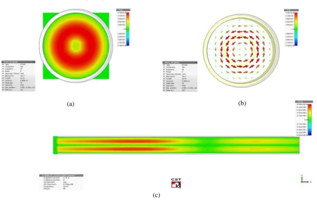 Fig.  9  (a)  The  contour  plots  of  Electric  field,  (b)  vector  plot  of  Electric  field  pattern  in  transverse  mid  plane  of  the  waveguide, and (c) side view of the contour of electric field intensity along the axial length of cylindrical wav