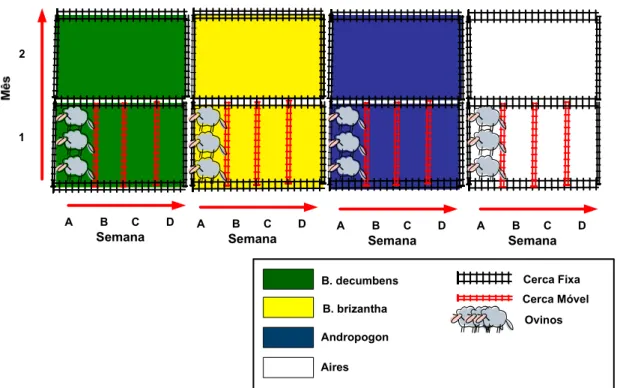 Figura  2.  Esquema  de  posicionamento  de  cercas  por  pasto.  Formando  a  seqüência  semanal  e  mensal  de  mudança  de  pastos  de  ovinos  mantidos  em  pastagens  de  Brachiaria  decumbens,  Brachiaria  brizantha,  Aires  (Panicum  maximum)  e  An