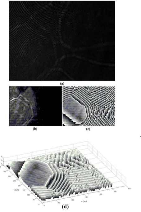 Fig. 4. Results of the thin film in glass plate by PRDHM: (a) hologram, (b) intensity image, (c) phase map, (d) phase 3D  representation