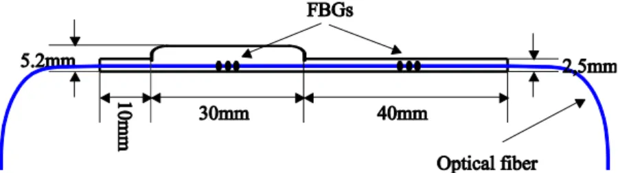 Figure 2 Schematic diagram of the sensor inside the designed mold where dimensions are indicated
