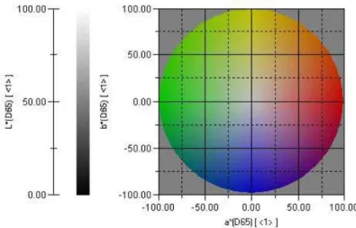 Figure 8. CIE L*a*b* color scale. 