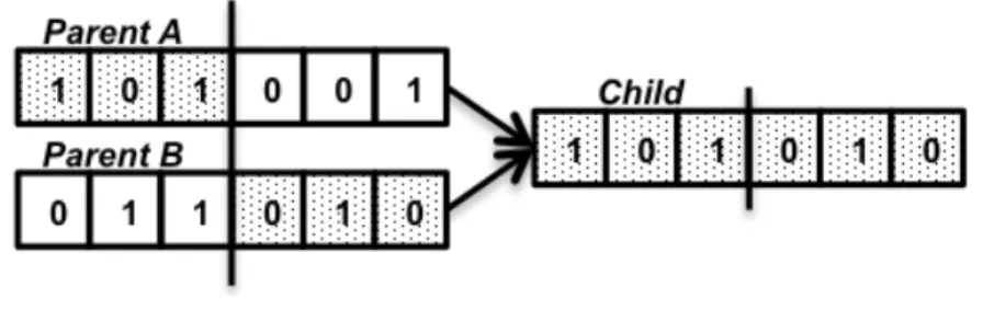 Fig. 5. Crossover phase. 