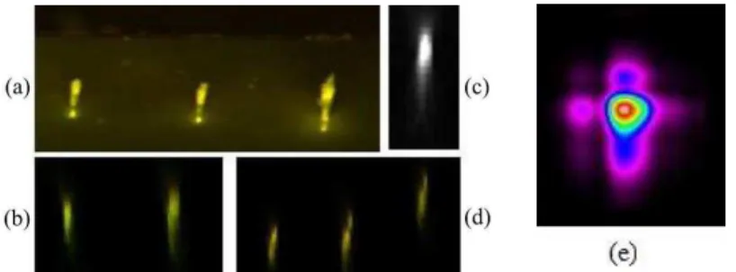 Fig. 1. Core transverse section of optically recorded color-center waveguides in a LiF crystal as seen   by fluorescence confocal laser microscopy: (a) side face, (b-d) inside the crystal  