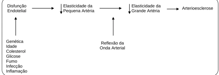 Figura 3 – Sequência temporal de disfunção endotelial, adaptada (27) 