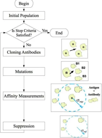Fig. 2.  Adapted Opt-AiNet algorithm dataflow. 
