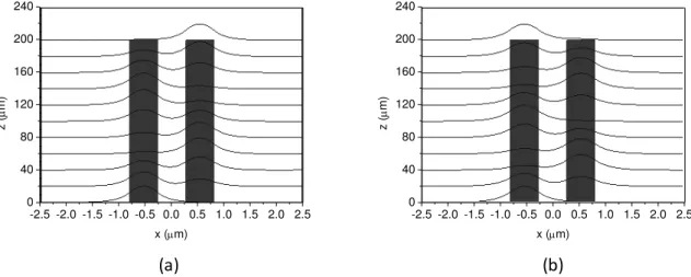 Fig. 5. Spatial distribution of the propagated fields along the designed directional coupler based on planar waveguides in (a) 