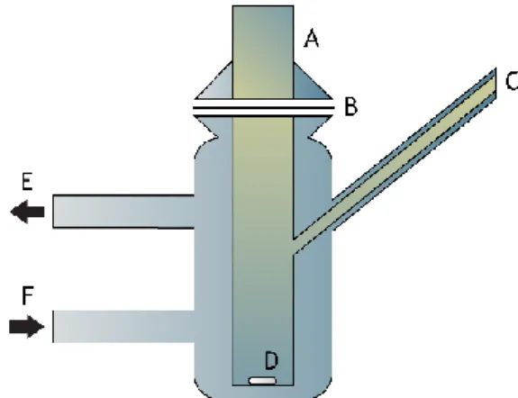 Figure I. 3: Schematic representation of a Franz cell. (A) donor compartment; (B) membrane; (C) sampling  port; (D) stirbar; (E) water outlet; (F) water inlet