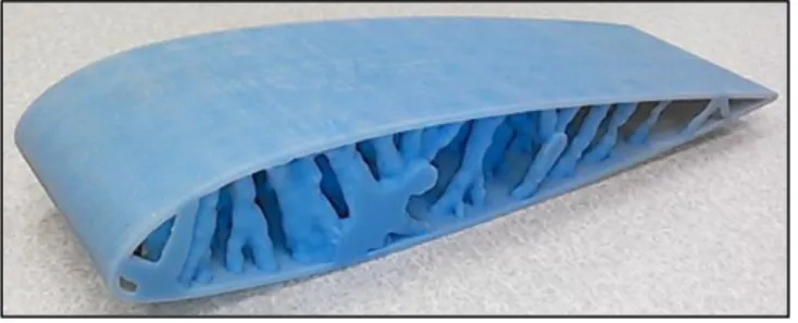 Figure 2.9 presented the 3D printed wing, which was the purpose of the work.  
