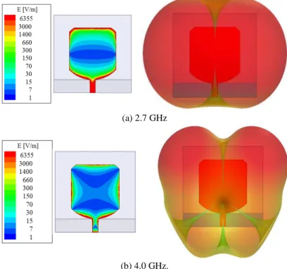 Fig. 4. Simulated electric field distribution and tridimensional radiation pattern. 