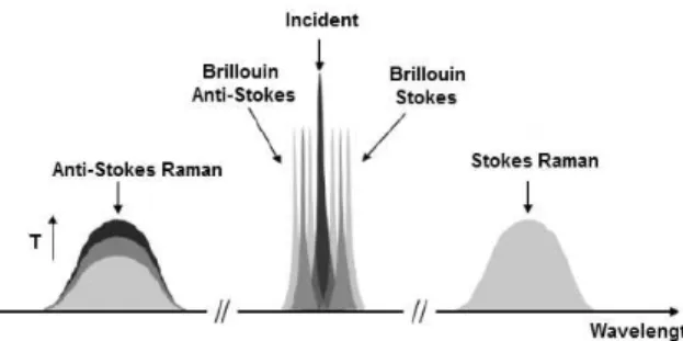 Fig. 1. Scattering phenomena in fiber [20].   