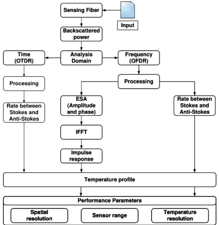 Fig. 3. Diagram of the possible steps to analyze the output of the DTS.   