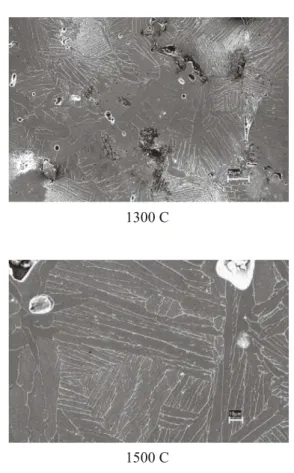 Figure  9:  Expansion/contraction  behavior  in  Ti-13Nb-13Zr  sample  sintered  up  to  1500C  (Henriques,  2008).