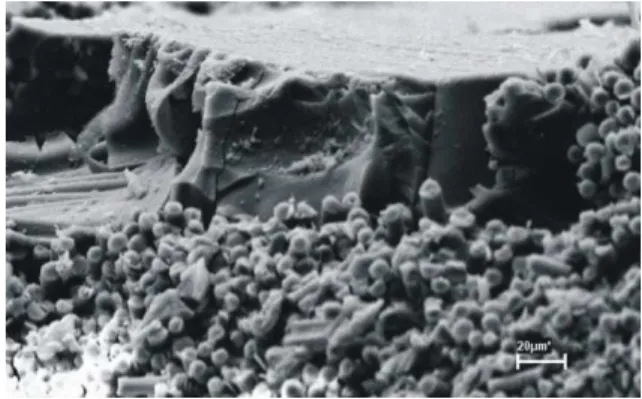 Figura  14:  Surface  of  the  quartz  phenolic  composite  after  the  plasma  torch  burning  test