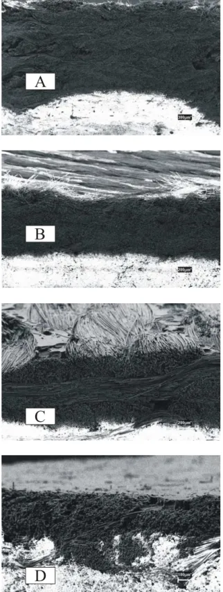 Figura  16:  Side  view  of  the  specimens  subjected  to  the  plasma 