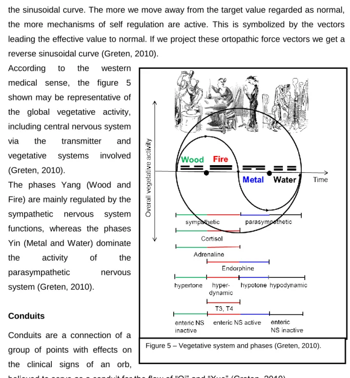 Figure 5 – Vegetative system and phases (Greten, 2010).