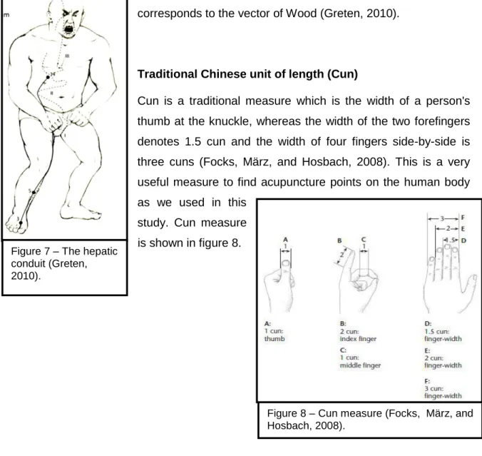 Figure 7 – The hepatic  conduit (Greten,  2010). 
