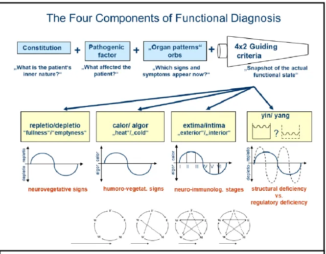 Figure 9 – The four components of the functional diagnosis in TCM (Greten, 2010) 