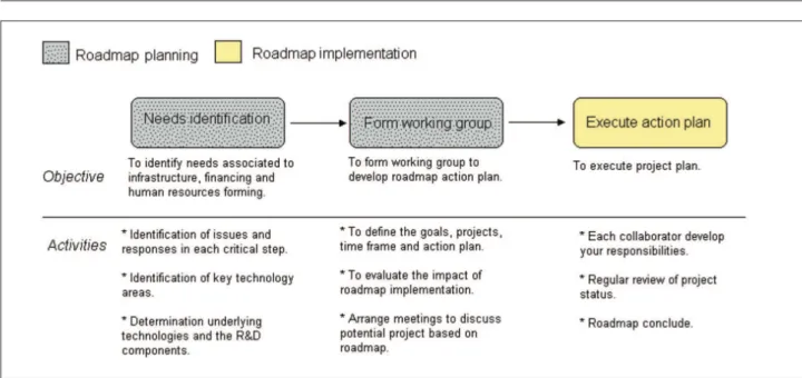 Figure 4:  Roadmap development process.