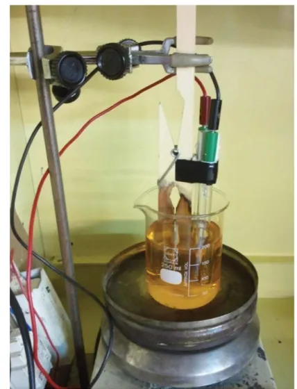 Figura 3.4 – Montagem efetuada durante os ensaios de degradação fotocatalítica com os filmes de óxidos  tipo perovesquite 