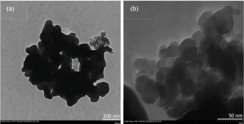 Figura 4.3 – Micrografias dos pós de Sr 0,9 La 0,1 TiO 3  com ampliações de (a) 20000 e (b) 120000 