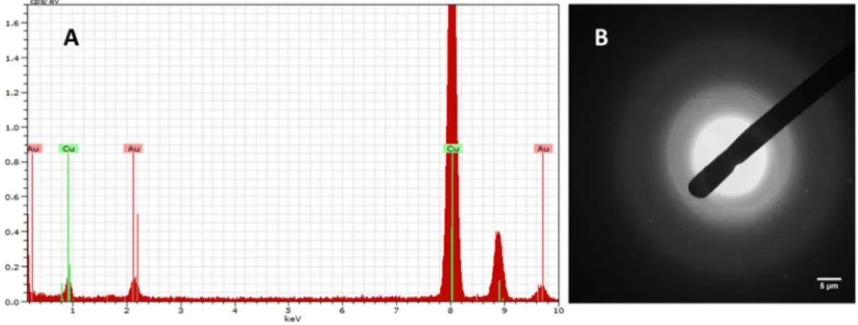 Figure 5 EDX spectrum (A) and X-ray pattern (B) of the CTAB-AuNRs stock suspension. Scale bar: 5 µm  (B)