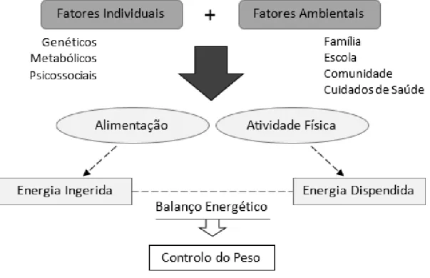 Figura 1 - Síntese da interação entre os principais fatores para o controlo do peso. 