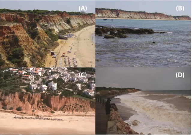 Figura 5 Arribas arenosas e praias associadas no Troço D: (A) e (B) Praia de Olhos de Água; (C) Zona de Vale do Lobo em  2003; (D) Praia de Vale do Lobo a ser atuada pelas ondas, após realimentação 